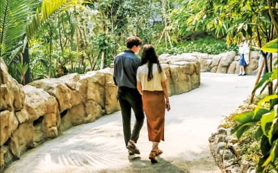  '자갸'는 표준어, '자기'의 높임말이죠