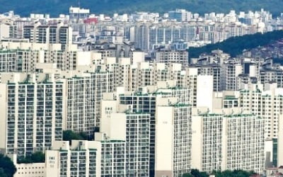 시장의 복수…전셋값 억누르니 더 오르는 '역설'
