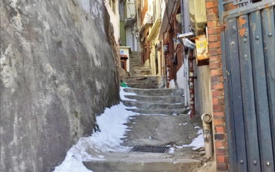  소설의 단골 소재는 '성장'…그건 갈등과 깨달음의 열매!