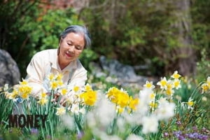 안홍선 스토리퀼트 작가의 '야생화 정원'을 가다