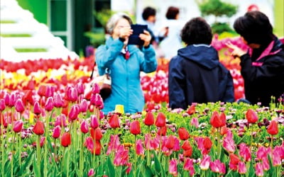  다른 사람과의 대조를 통해 드러나는 '나'의 개성