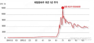 '수익률 1536%'…동전주의 위험한 랠리