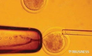 맞춤형 치료 기술-유전자 치료와 줄기세포 치료로 불치병 고친다