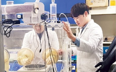 식물의 광합성도 물과 이산화탄소를 결합하는 화학반응