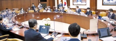  정부는 '램프의 요정'이 아니다