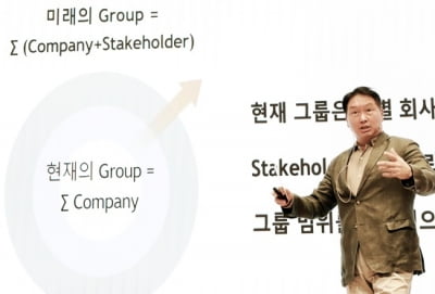 SK 최태원호, '뚝심 리더십' 위기서 빛났다