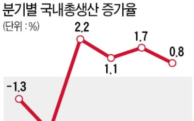  2분기 성장률 0.8%…실질 국민소득은 0.1% 증가 그쳐