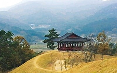  군사력·상업에 문화·종교까지 결합한…청해진 바다 영토 확대하며 신라 사회개혁 의식 높여