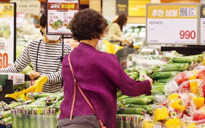  소비자물가 4.8% 껑충…13년 만에 최고