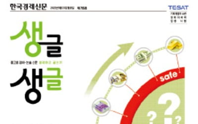 위험자산? 안전자산?