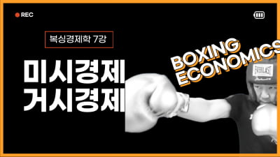 [오 교수의 복싱 경제학 7강] 날아오는 주먹을 피하는 방법은?