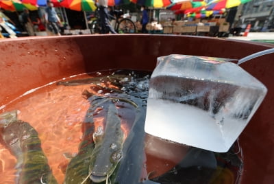 뜨거운 물과 차가운 물, 어느 쪽이 더 빨리 얼까?