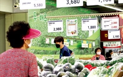  성수기 여행지 물가는 바가지라고 부르고 246% 오른 상추가격은 받아들이는 이유