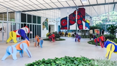 현대백화점, 아시아 최초로 '탄자니아의 이보' 작품 전시