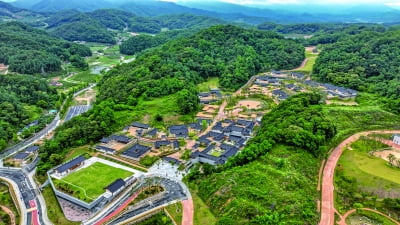 선비 도시 영주의 도약, 관광에서 최첨단 산업까지 약진 [지자체장 24시]