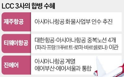 '항공 빅2' 합병 청신호에 함께 웃는 LCC
