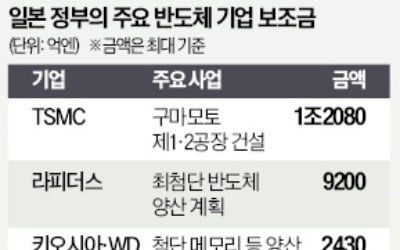  TSMC "일본 2공장도 구마모토에 짓는다"