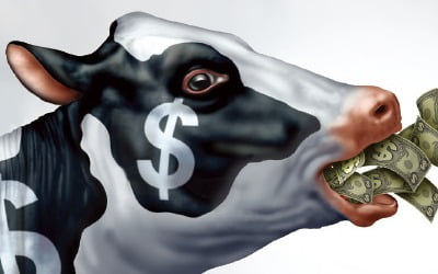  꾸준히 돈을 벌어주는 사업 'cash cow'