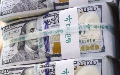  환율안정 위해 정부 개입…과도하면 美 제재 가능