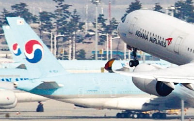 '통합 대한항공' 독과점 막는다…정부, LCC에 운수권 우선 배분