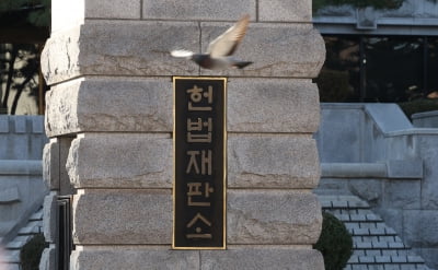 “헌재 홈페이지로 모이자” 尹 탄핵 심판에 헌재 홈피 마비 되나