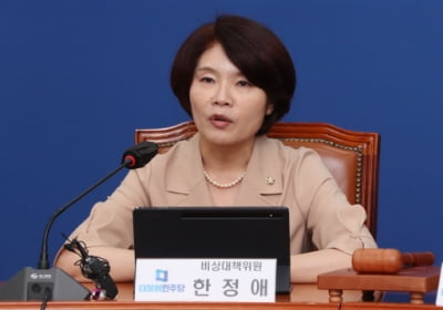 野한정애 '가짜뉴스 처벌·손해배상 강화' 법안 발의