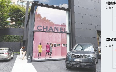  명품, 비쌀수록 잘 팔리는 '베블런 효과'