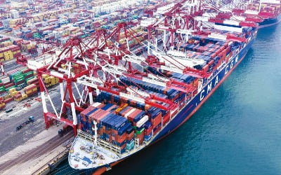 WTO 체제 이후 실질적 보호무역 수단 됐죠